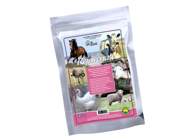 Awaiting product image