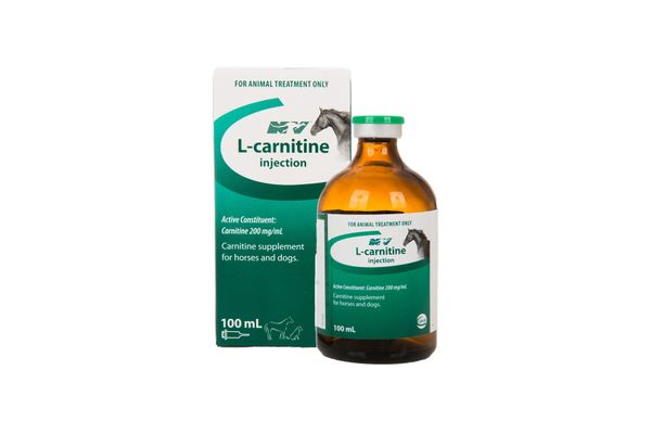 l carnitine injection buy online Buy Nature Vet L-Carnitine Injection 100ml Online